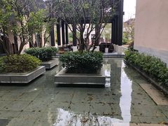 -上海崇明金茂凯悦酒店