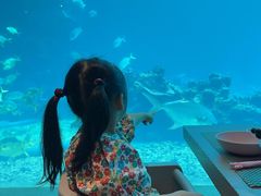 -涛·海底餐厅·美人鱼·自助餐·海底隧道(三亚海棠湾洲际度假酒店)