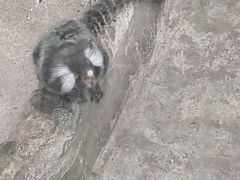 -上海大自然野生昆虫馆(东方明珠·爬宠昆虫探索中心)