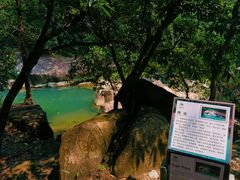 -广州白江湖森林公园