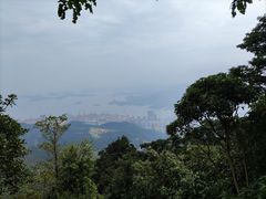 -梧桐山风景名胜区