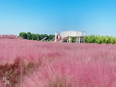 -嘉北郊野公园