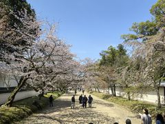 -醍醐寺