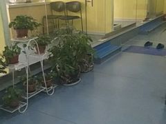 -瑞鹏宠物医院·爱宠堂·骨外专科(西荷分院)