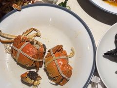 -杨氏青龙虾·吃蟹季(金盛路总店)