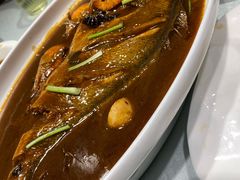 葱烧深海黄鱼-渔家风味·鲅鱼水饺·央视展播·海鲜天津菜(开发区店)