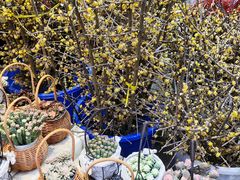 -循礼门鲜花花市(武汉循礼门店)