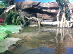 -沙沙哗啦海洋馆(华宇百花谷店)