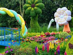 -上海共青森林公园