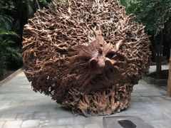 -龙达温泉生态城