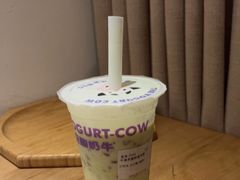 -一只酸奶牛(春熙路店)