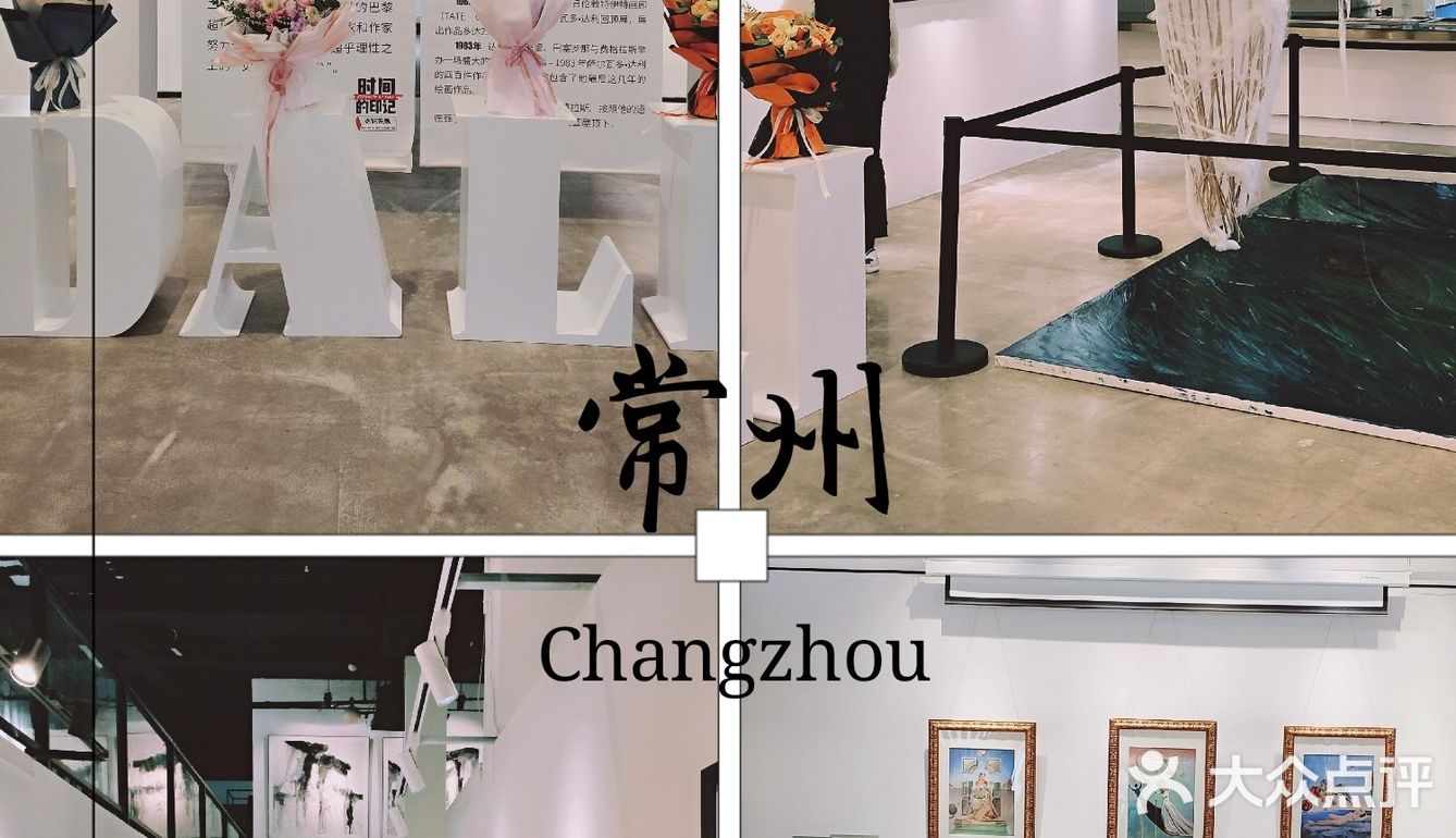 常州首家公开达利展览