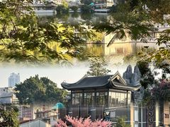-荔湾湖公园