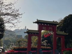 -南山植物园