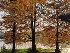 -浙江农林大学(东湖校区)