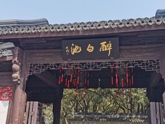 -上海醉白池公园