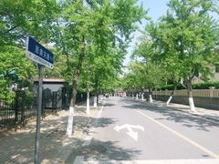 -八大关景区