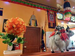 -如意林卡藏餐吧(大昭寺店)