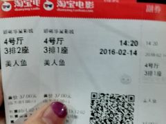 -华星国际影城