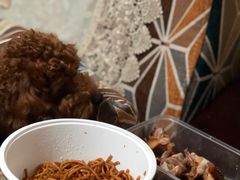 -老九圆山西面馆(CBD店)