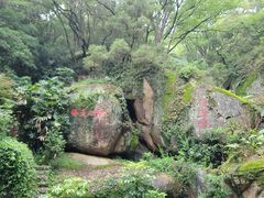 -青芝山风景名胜区