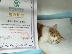 -东莞宠友24H宠物中心医院·转诊夜诊·异宠(新河北路院)