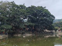 -云水谣景区