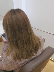 -YESIDO椰岛造型