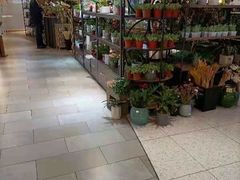 -茶马花街(城西银泰城店)