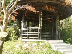 -黄海国家森林公园