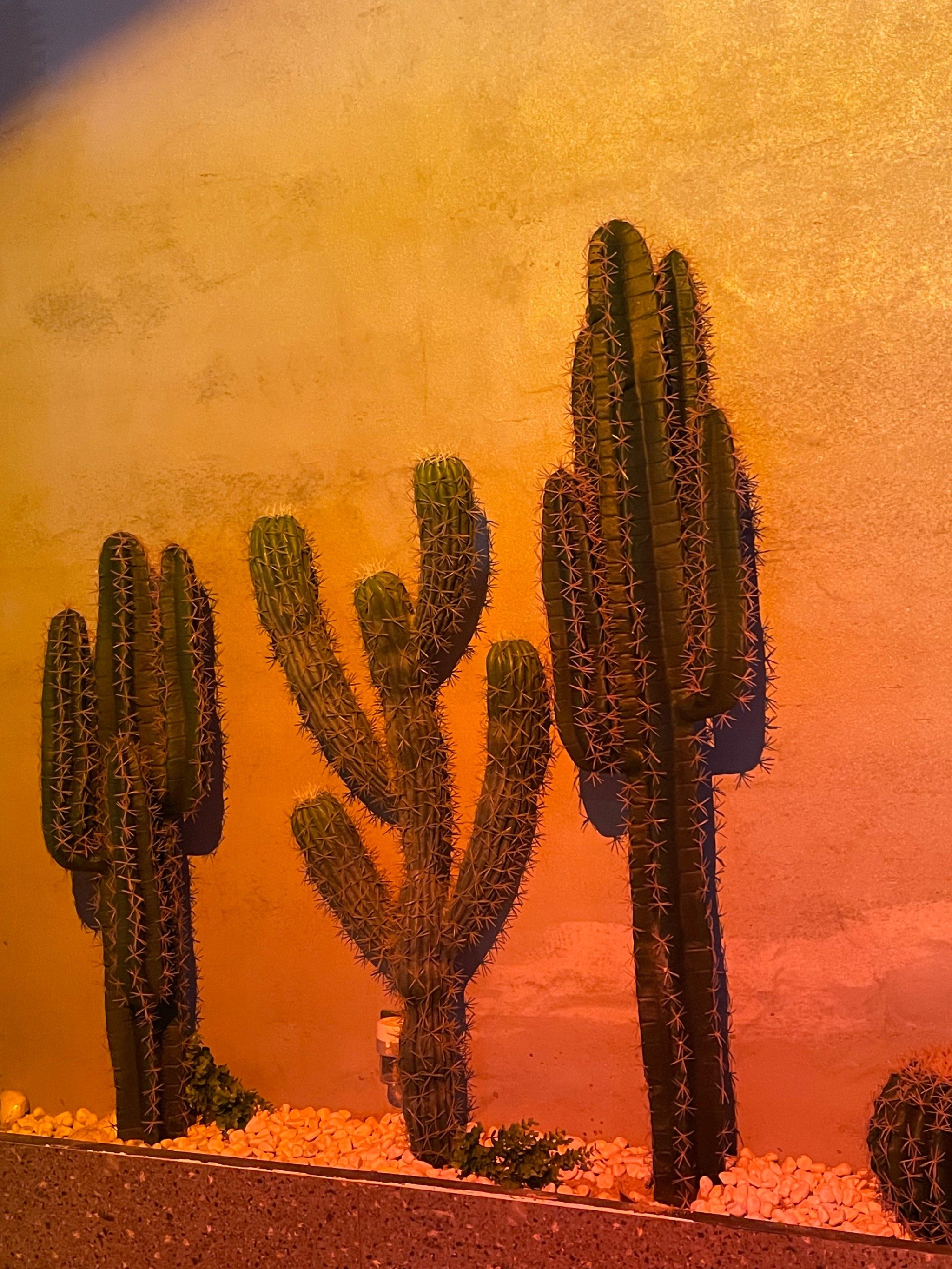 清晖园附近这家「one&movenpick(清晖园店)」日啡夜酒店的玫瑰墙95