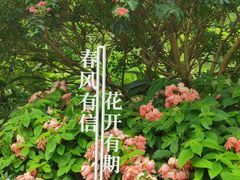-云溪植物园
