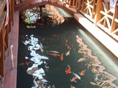 -侠成水上农庄(工业大道店)