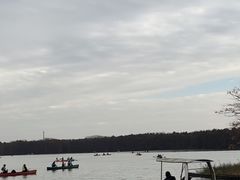 -上海海湾国家森林公园