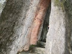 -金鸡山公园
