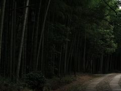 -黄公望隐居地
