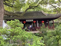 -上海醉白池公园