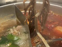-季季红火锅(长沙步行街店)