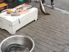 -老四川平头酸菜鱼(衙前店)