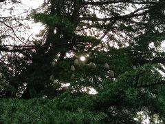 -秦始皇帝陵博物院(兵马俑)