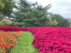 -石家庄市植物园