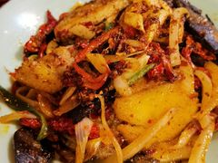 -柴窝堡22号辣子鸡·传承新疆菜