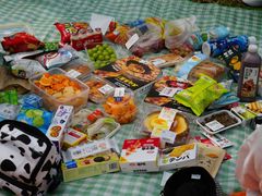 -蜀冈西峰生态公园