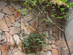 -森SPA·泰式按摩·精油Massage(宝安中心店)