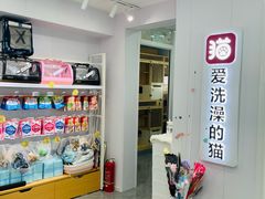 -爱洗澡的猫(望京店)