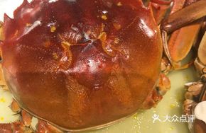 Fresh River Crab in Summer