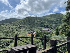 -树山生态村