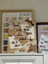 -熙禾美甲美睫·皮肤管理