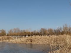 -绿堤公园
