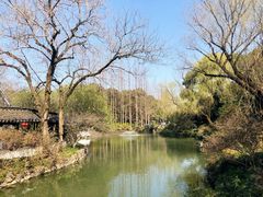 -上海醉白池公园